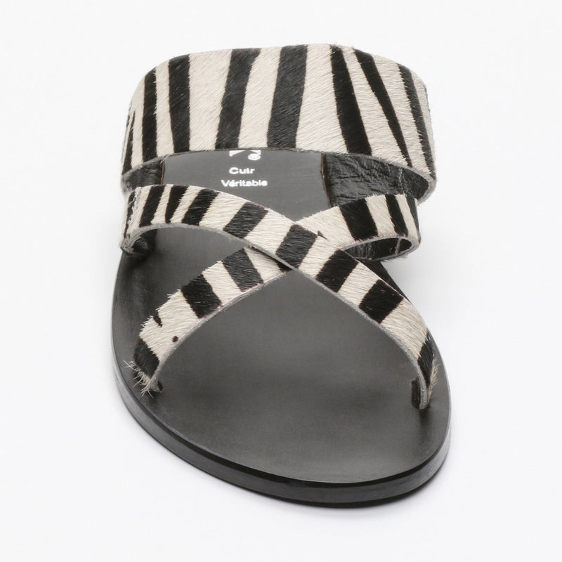 Calank - Mules Esila - Cebra