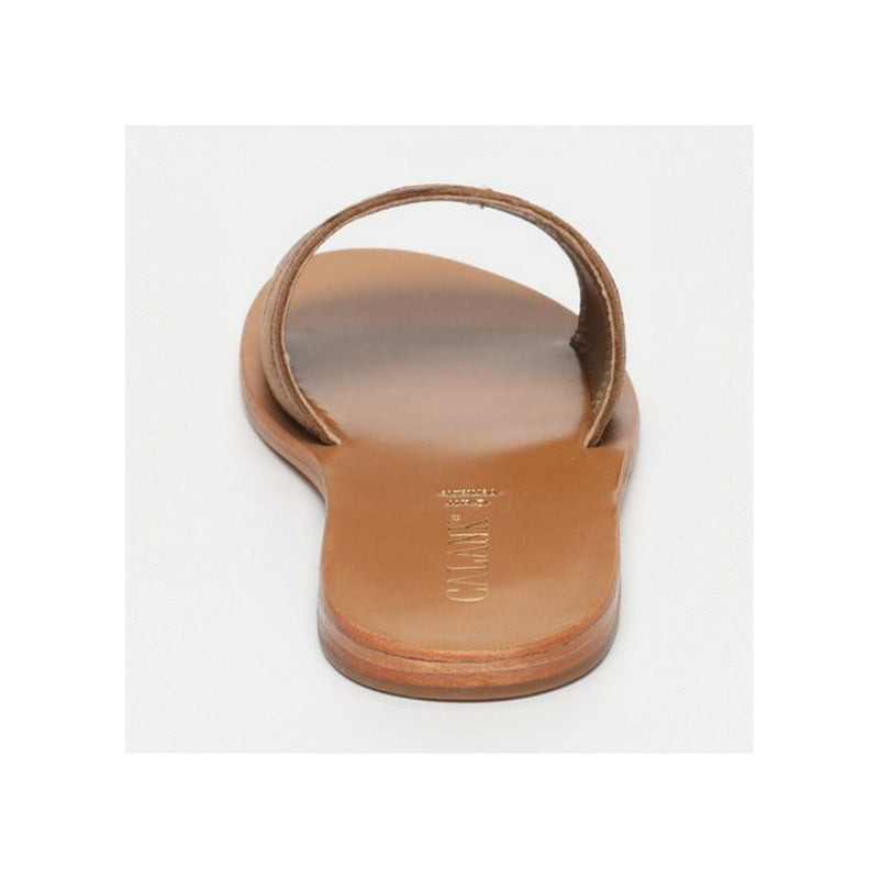 Calank - Mules Nariman - Camel