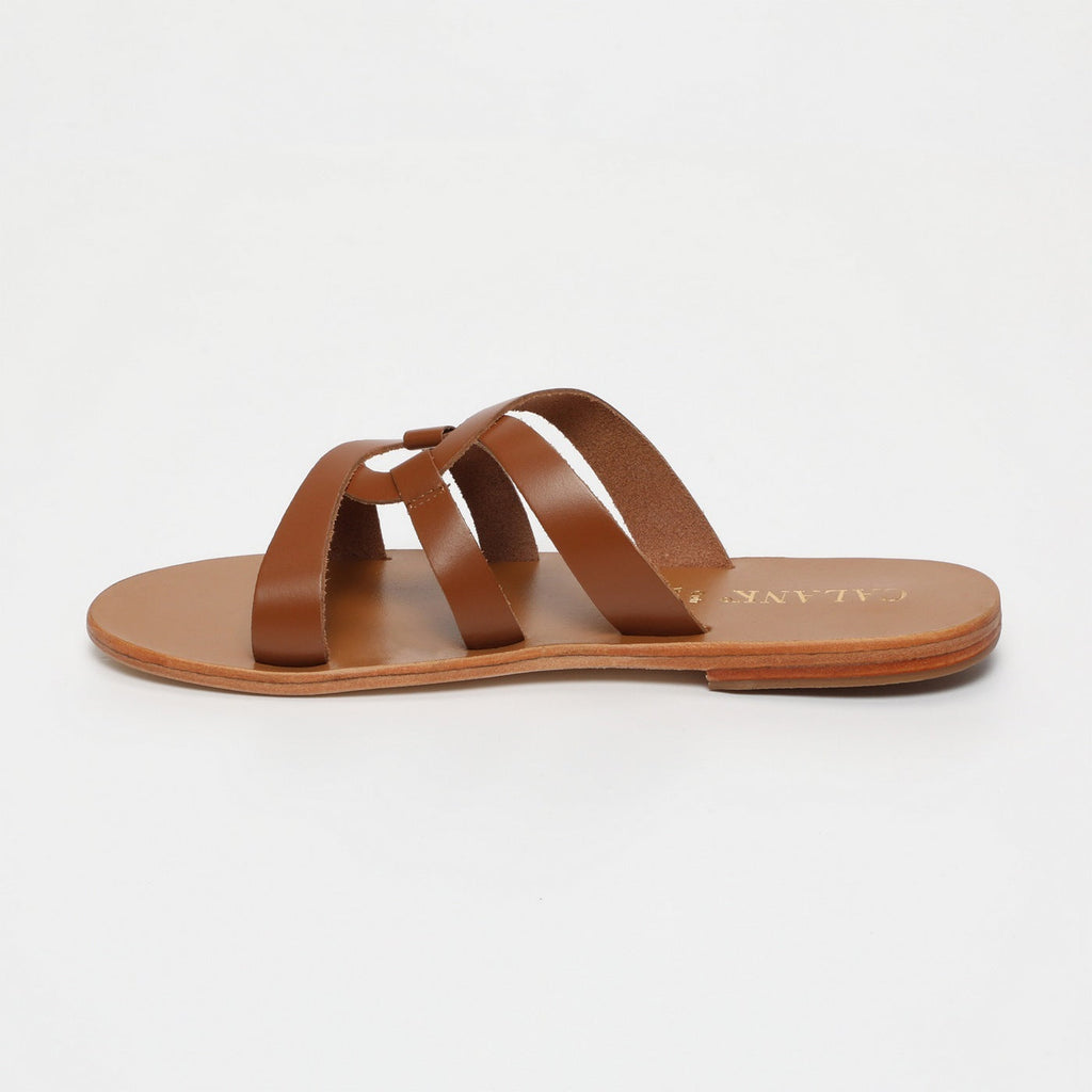 Calank - Sarah Mules - Camel