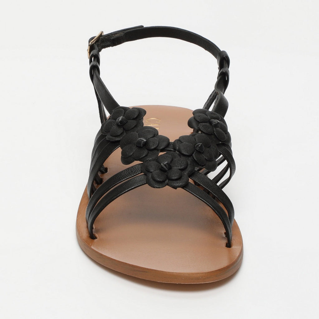 Calank - Sandalias esenciales Leilani - Negro