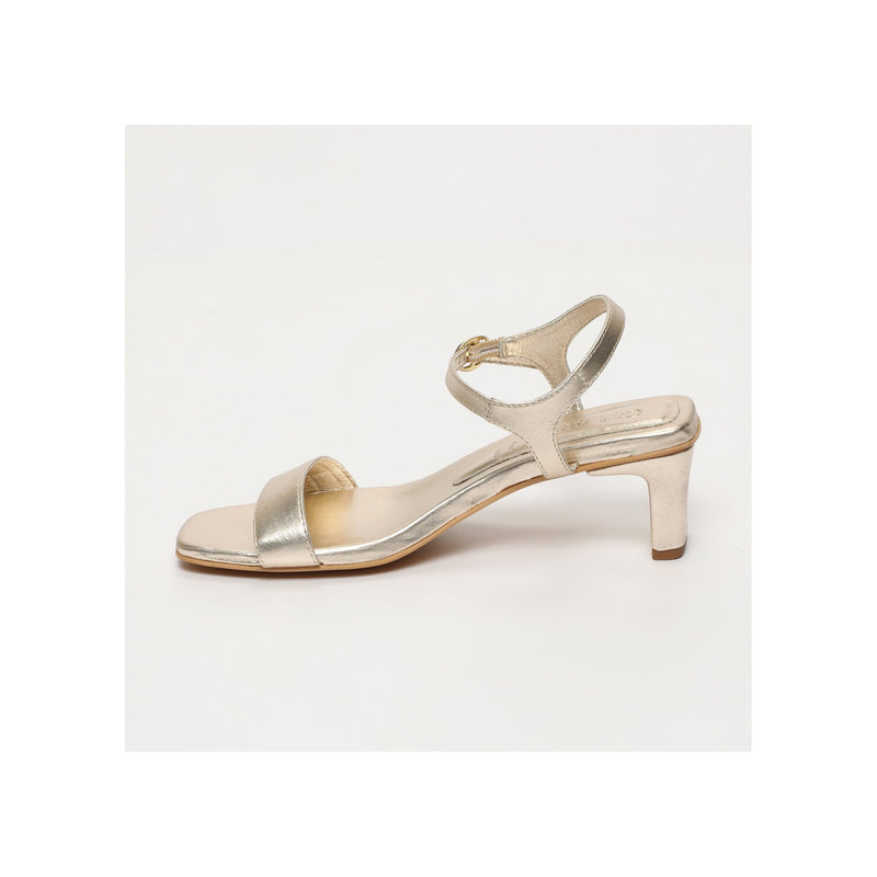 Calank - Talons - Naomi - Doré