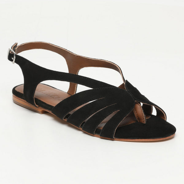 Sandalias - Sandalias Londrina - Black
