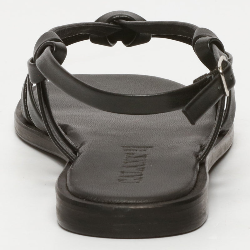 Golden Sun - Sandalias Almendra - Negro