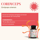 ingrédients cordyceps french mush