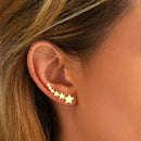 Dessus D'Oreille Dore Cosmos