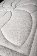 Fontainebleau - Ensemble - Blanc/Gris