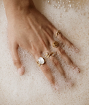 Anillo Eolo