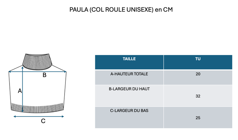 Col Roule Paula - Bleu Marine - 100% Cachemire Oeko-Tex - Mixte