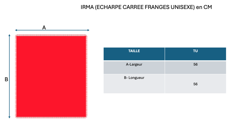 Echarpe Carree Franges Irma - Gris - 100% Cachemire Oeko-Tex - Mixte