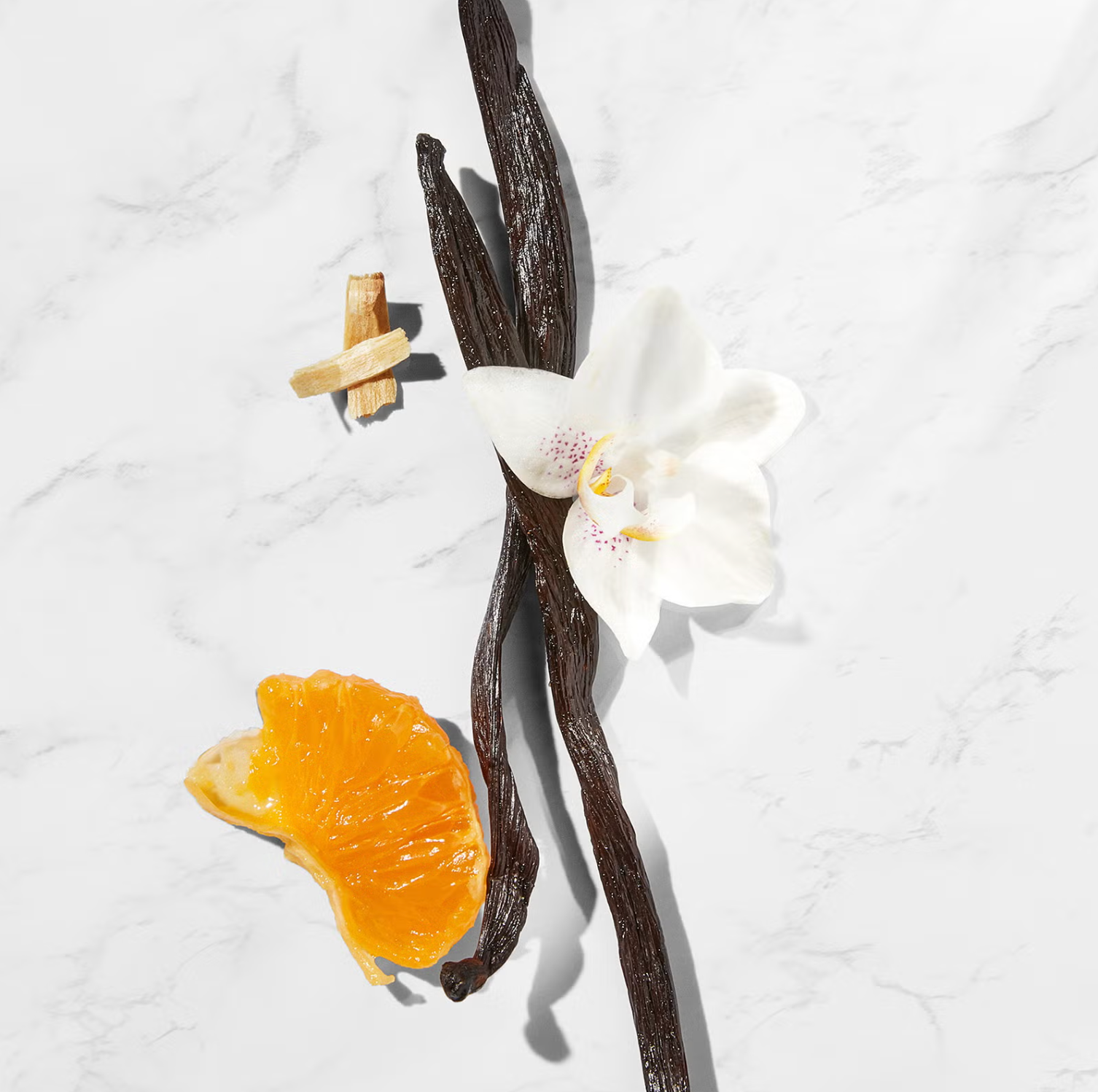 Amber Vanilla Body Cream Soufflé