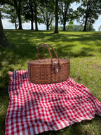 Cooler Picnic Basket For 2 People - Brown