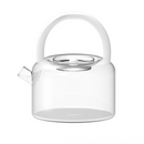 Borosilicate Glass Teapot With Filter On Spout