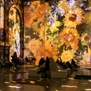 Carte Cadeau - Expérience Immersive Van Gogh (Lille/Lyon) - 2 personnes
