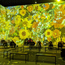 Carte Cadeau - Expérience Immersive Van Gogh (Lille/Lyon) - 2 personnes