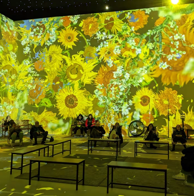 Carte Cadeau - Expérience Immersive Van Gogh (Lille/Lyon) - 2 personnes