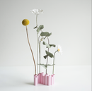 Dried Flower Vase - Pink