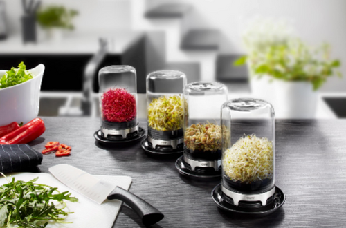 Bivita - Mini Glass Greenhouse for Seedlings - Black/Silver