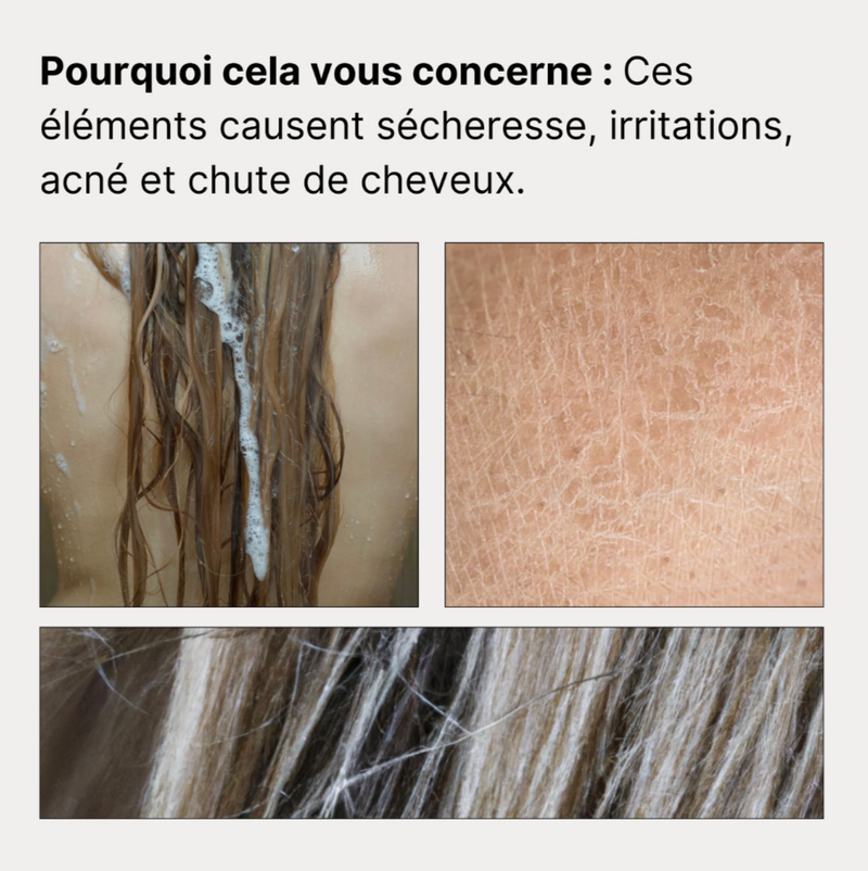 Pommeau de Douche Filtrant Blanc + 4 Filtres (8 Mois de Filtration)
