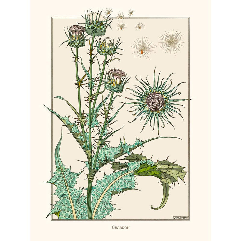Sciences Naturelles - M.P Verneuil -Chardon