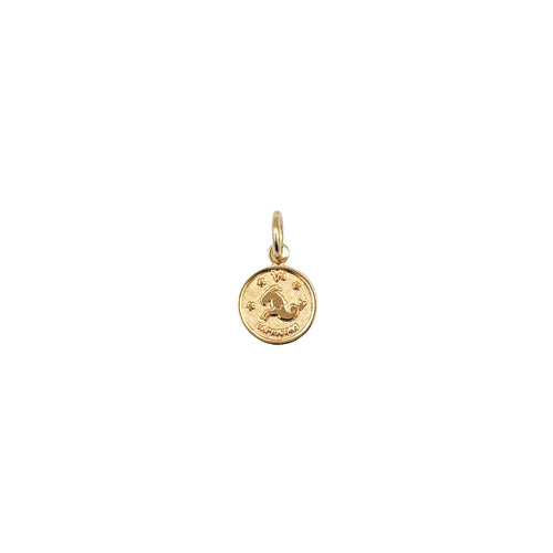 Charm Médaille Astro Small - Capricorne - Or