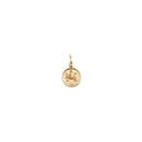 Charm Médaille Astro Small - Lion - Or