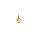 Charm Médaille Astro Small - Verseau - Or