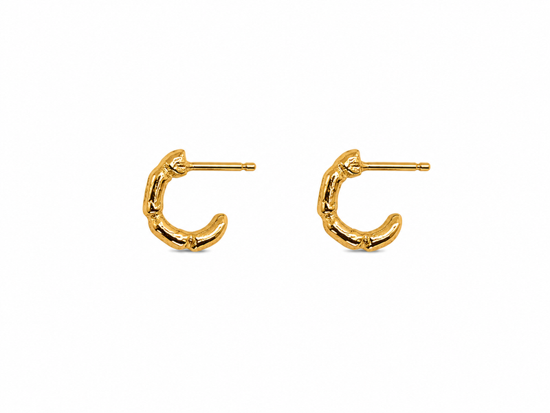 Boucles D'Oreilles Bamboos