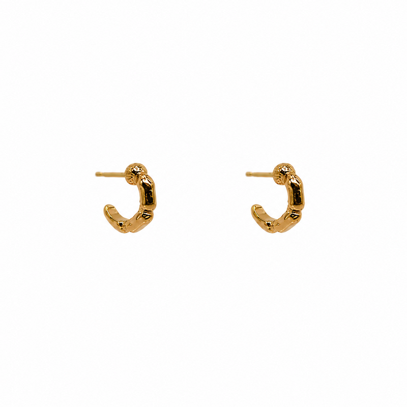 Boucles D'Oreilles Bamboos