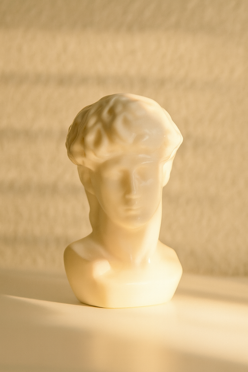 David Miguel Angel Buste Naturel