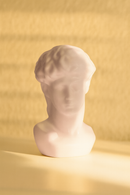 David Miguel Angel Pink Bust