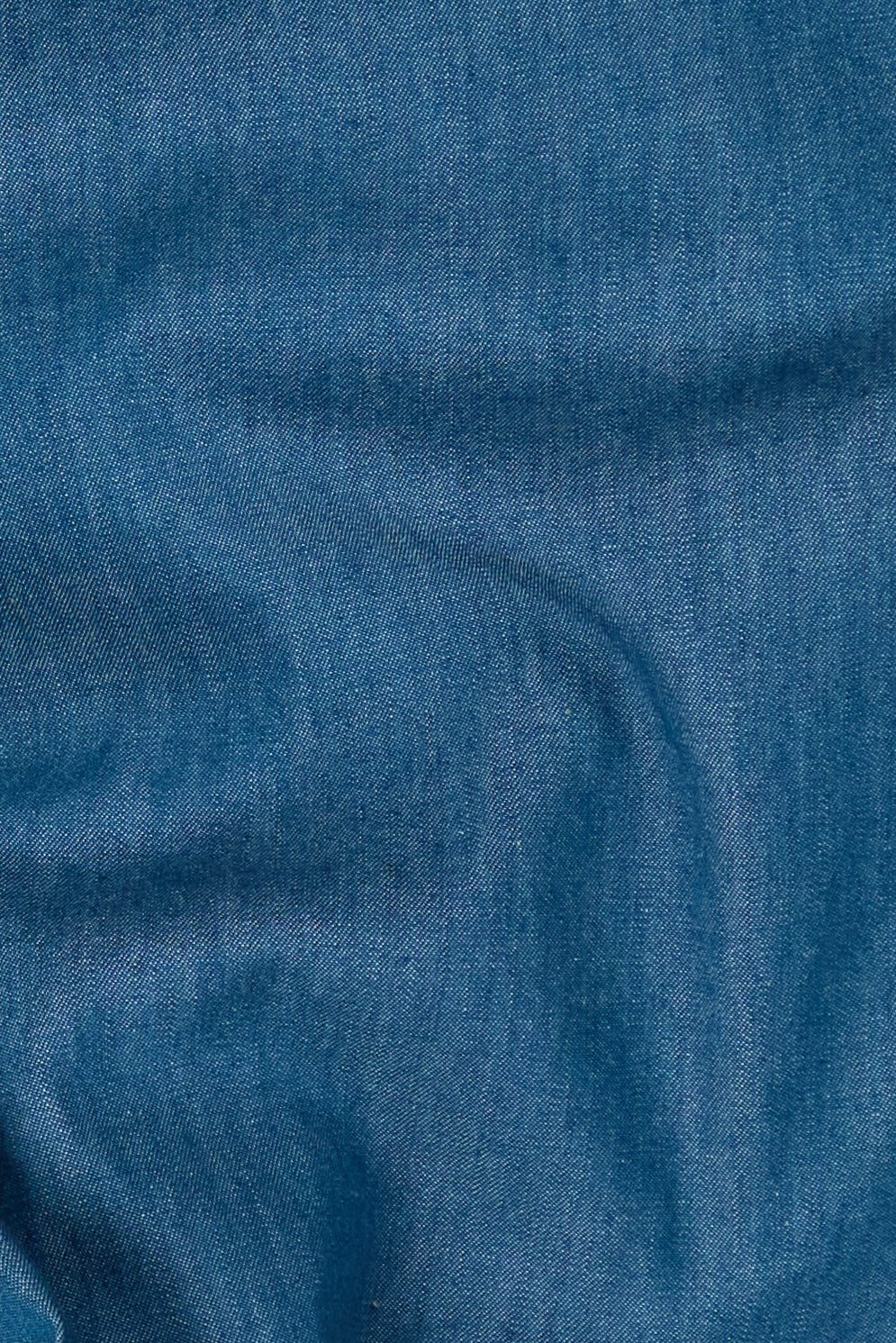 Camisa Calvi - Greencast