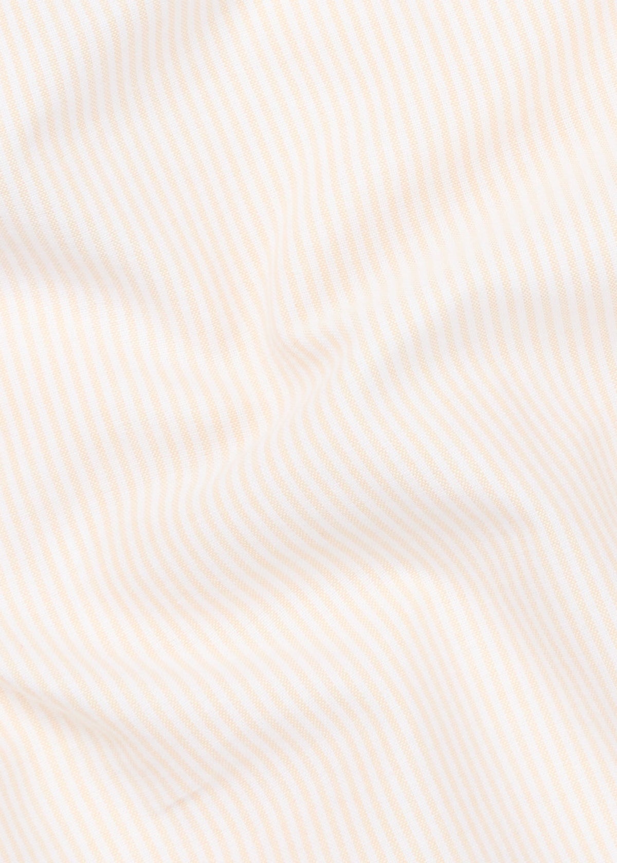 Camicia Calvi - Giallo E Bianco