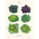 Sciences Naturelles - Choux,Ernst Benary