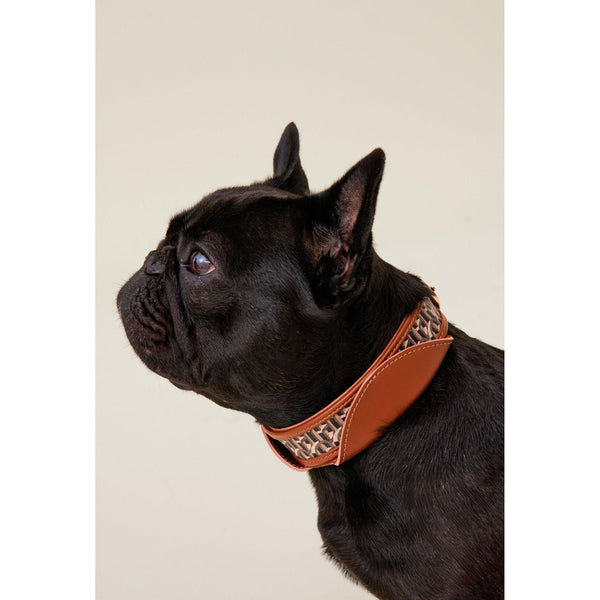 Collar Para Perro Con Monograma Cp