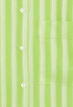 Shirt - Calissi Stripes - Matcha