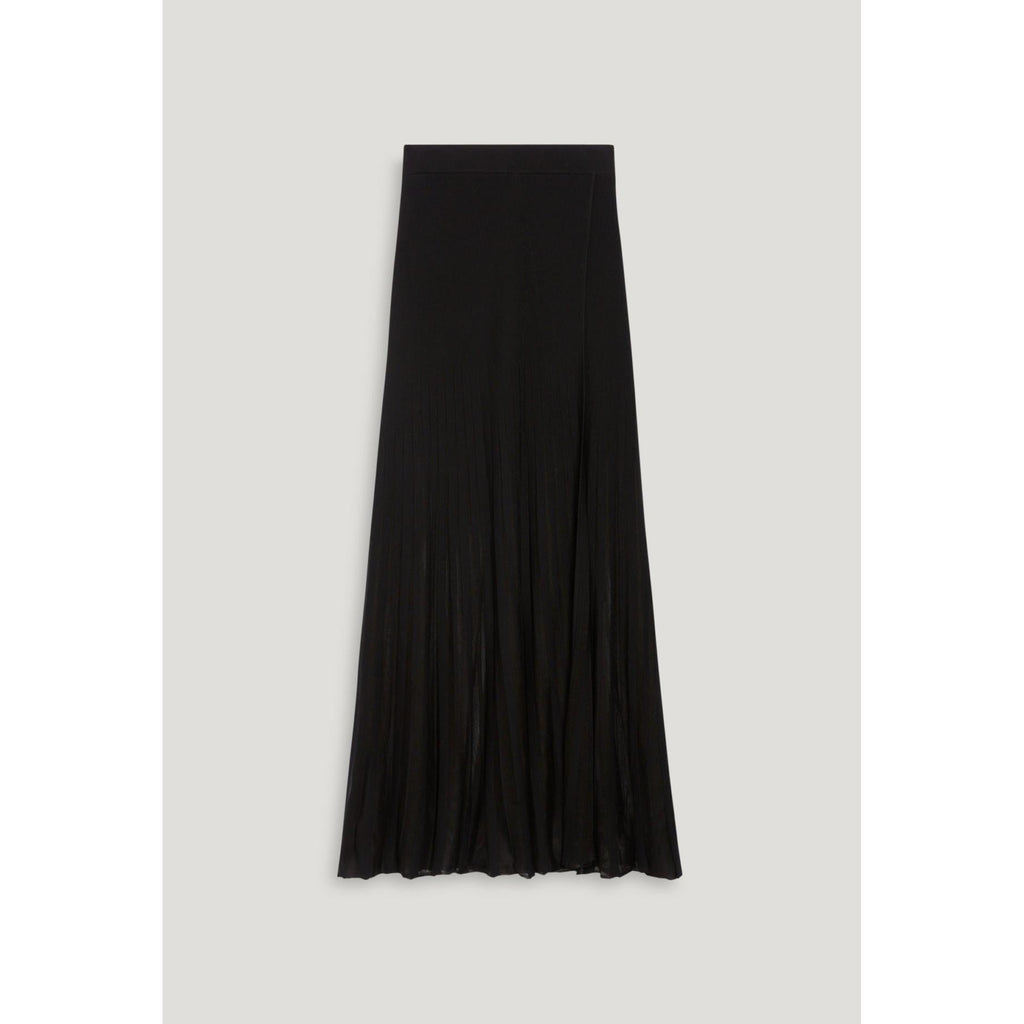 Long Mesh Skirt