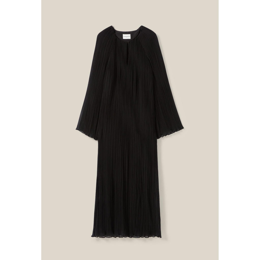 Transparent Pleated Long Dress