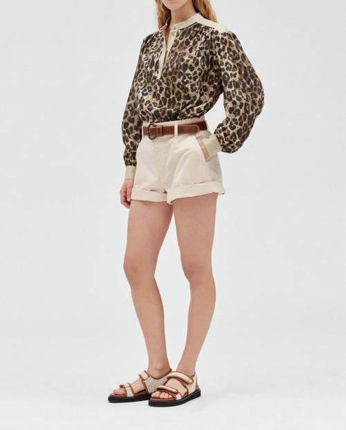 Shorts - Study - Mastic