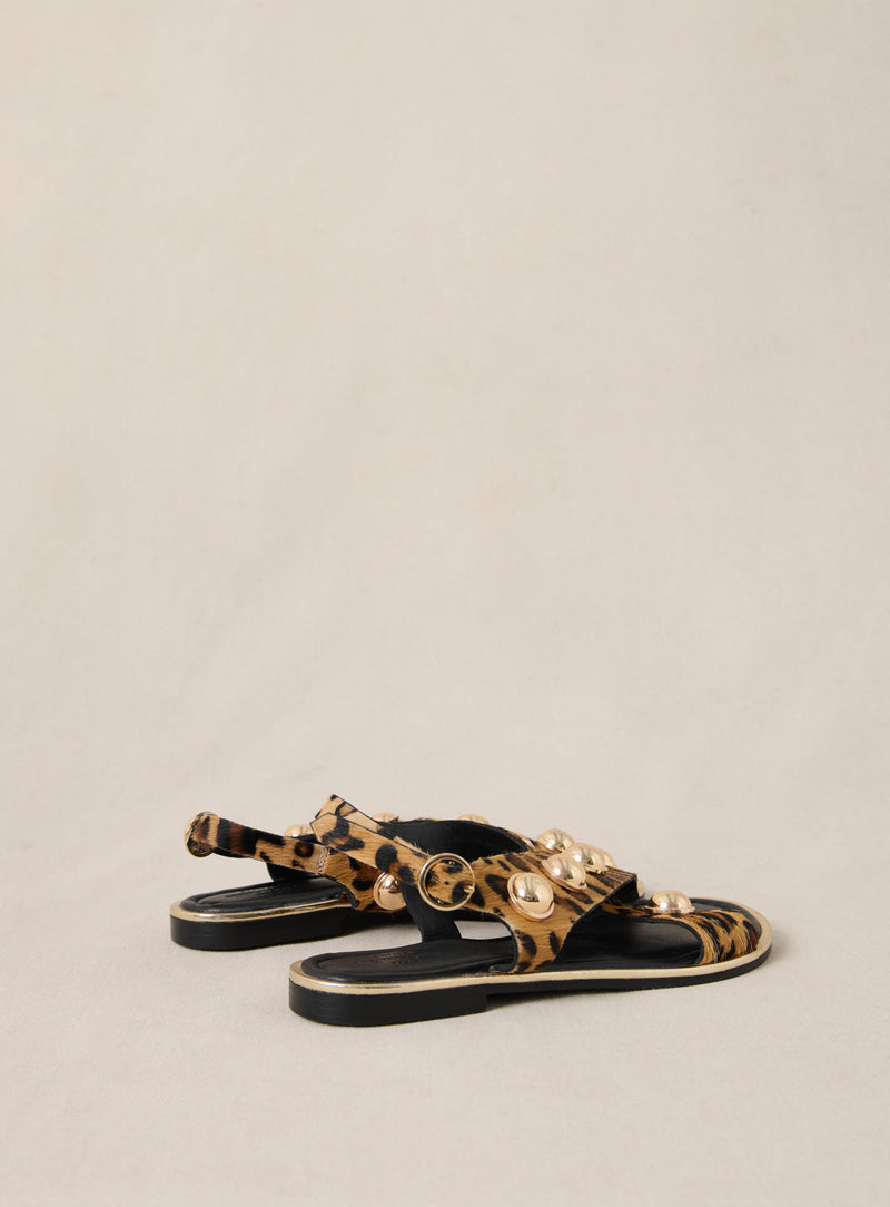 Sandalias Coberts - Leopardo