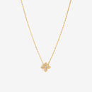 Collier Bellamy