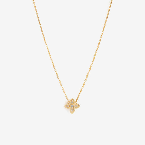 Collier Bellamy