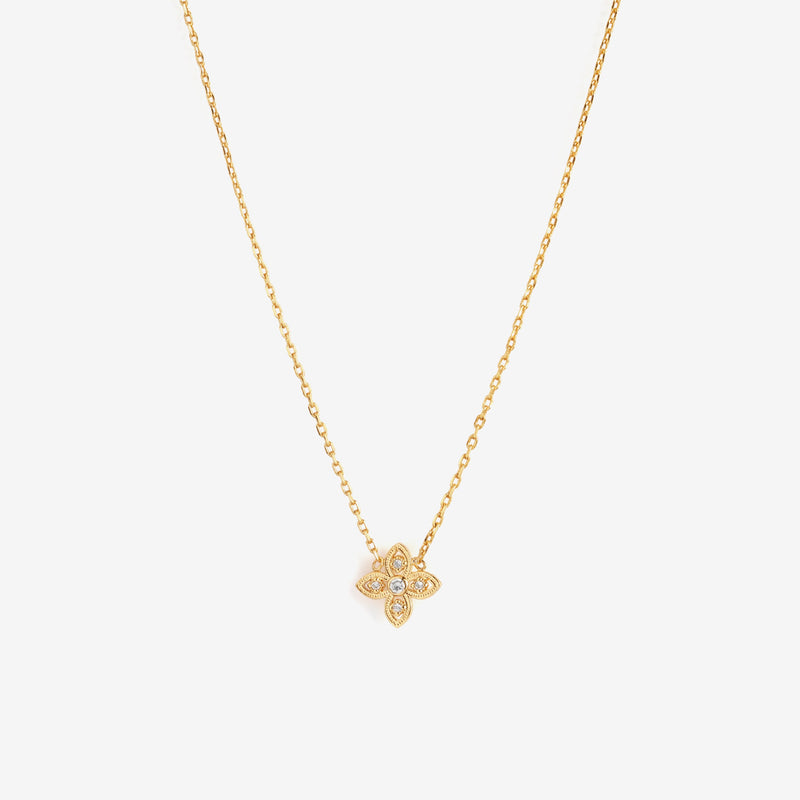 Collier Bellamy
