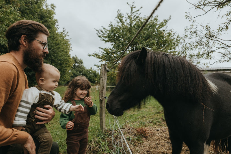 Parcel Tiny House - Bon 250€