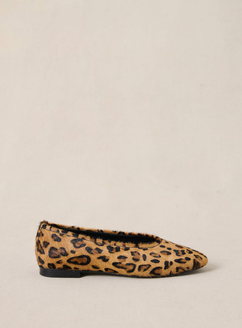 Bailarinas Coralie - Leopardo