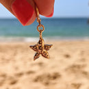 Créole Mini Hoops - Étoile De Mer