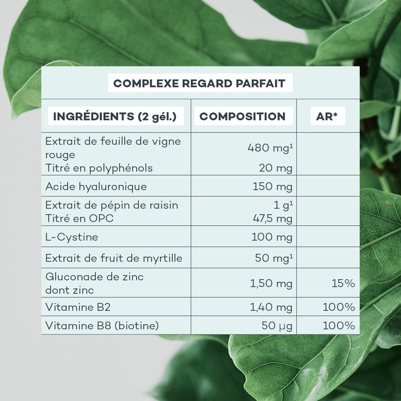 Complexe Regard Parfait