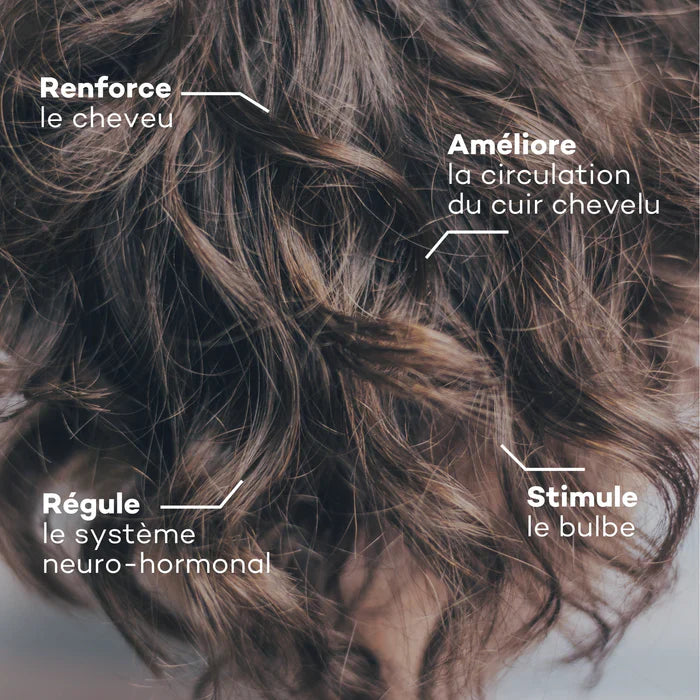 Programme Masse-Capillaire