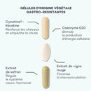 Programme Masse-Capillaire