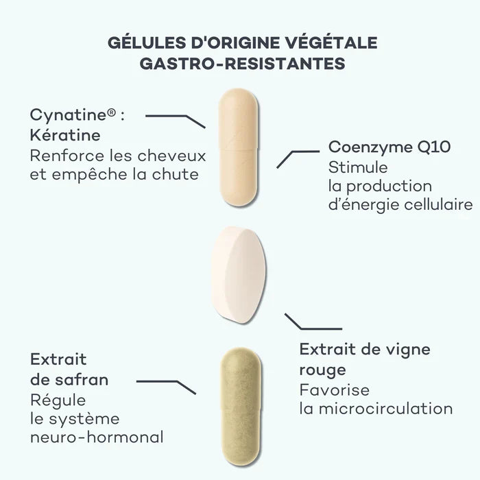 Programme Masse-Capillaire