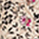 Chemisier - Top Briana - Naturel